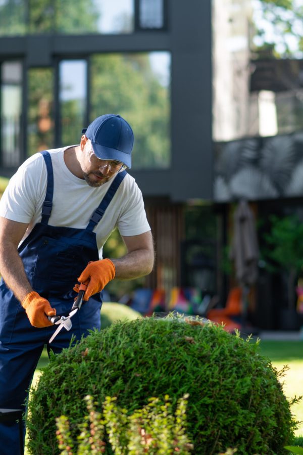 Handsome man worker trimming greenery in landscaped yard of modern architecture complex