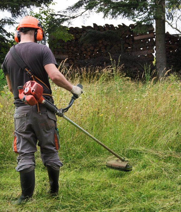 Landscapers men gardeners cutting grass with string lawn trimmers